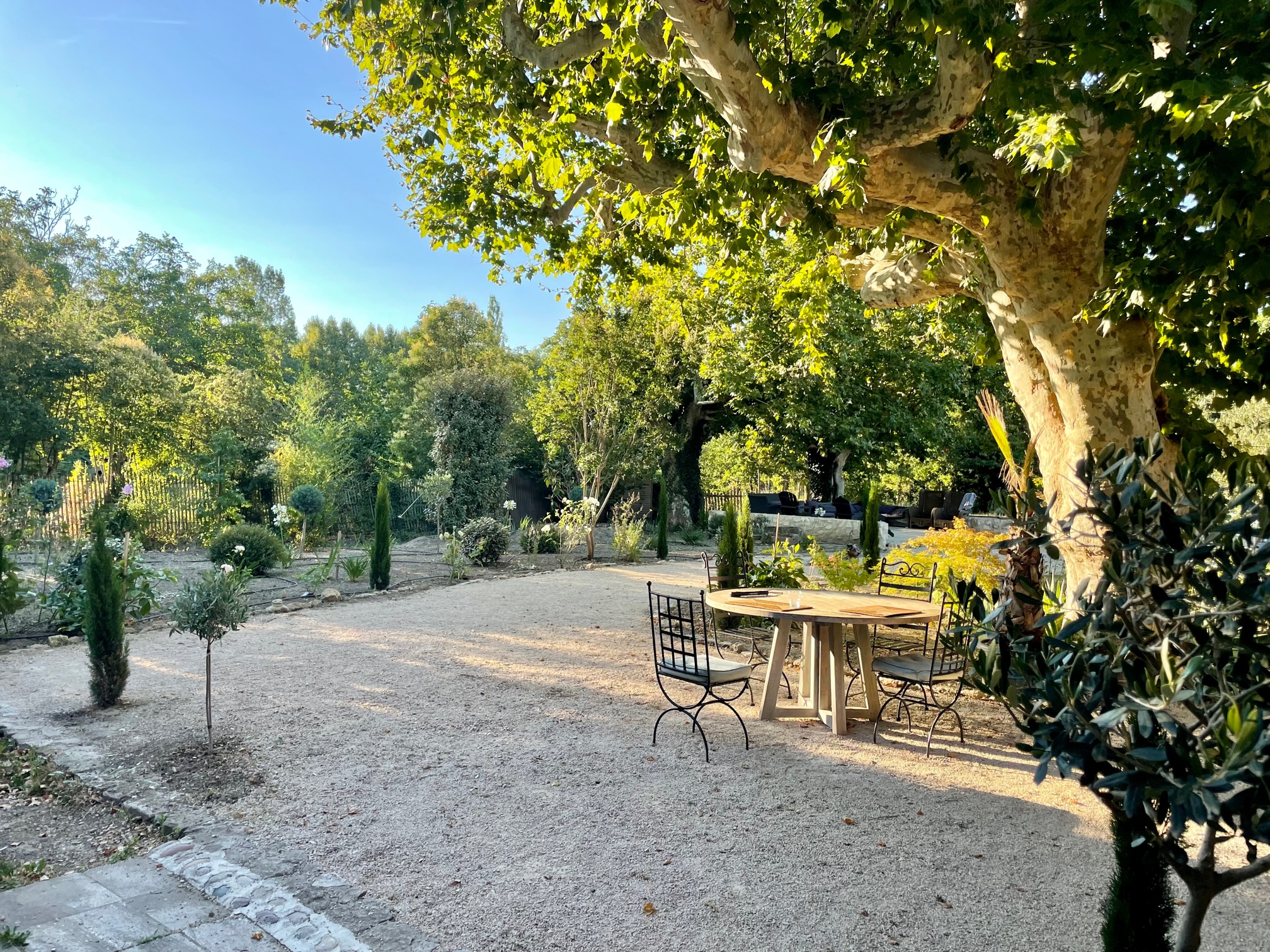 jardin printemps 3
