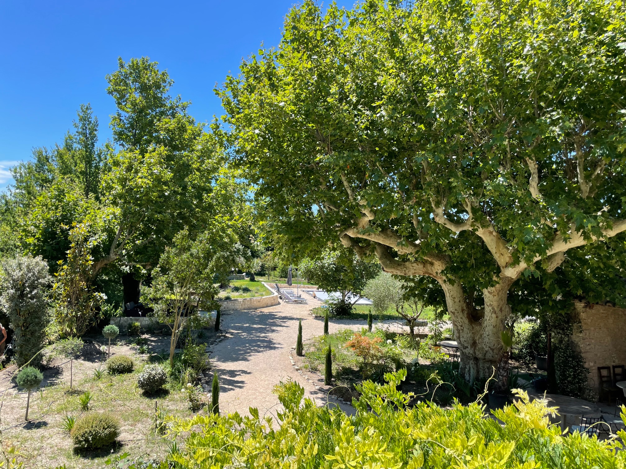 jardin vu de glycine jardin vu de glycine