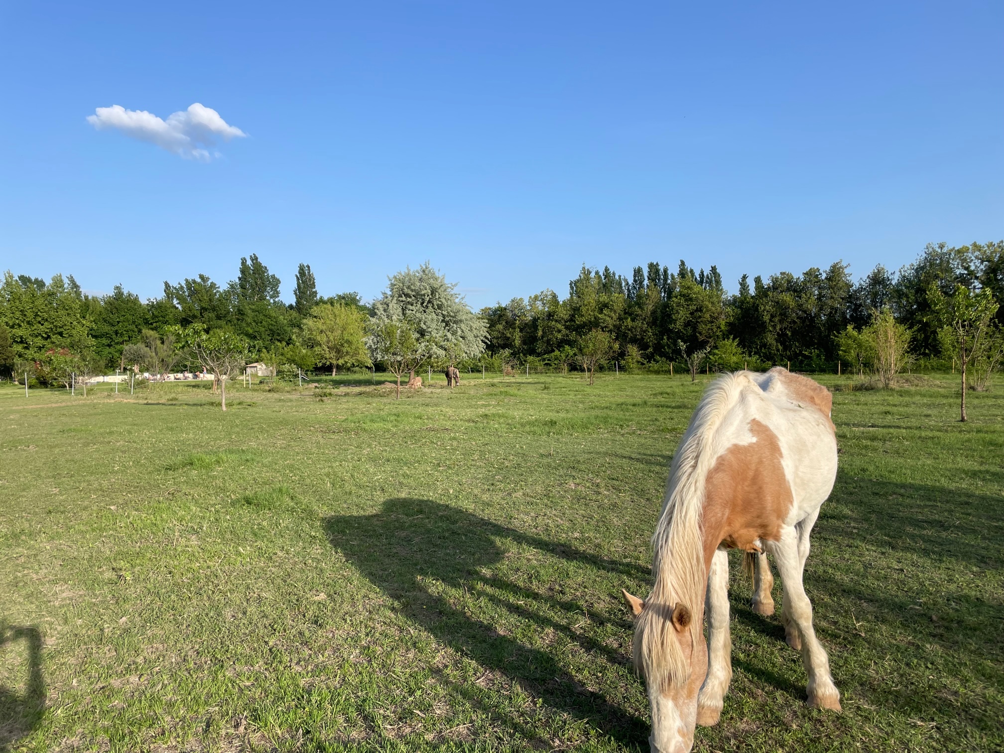 luna jardin